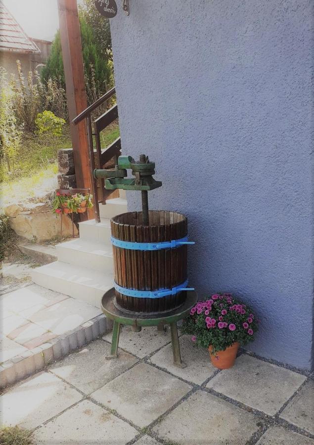 Agnes Almai Agnes Apples Villa Kisapati Екстериор снимка