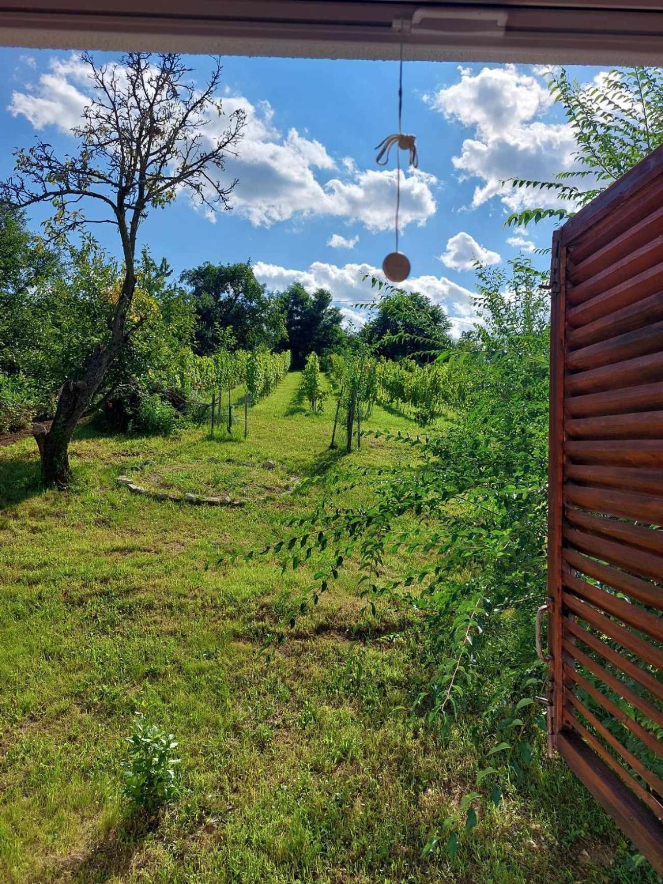 Agnes Almai Agnes Apples Villa Kisapati Екстериор снимка